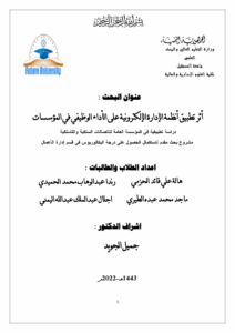 أثر تطبيق أنظمة الإدارة الإلكترونية على الأداء الوظيفي في المؤسسات